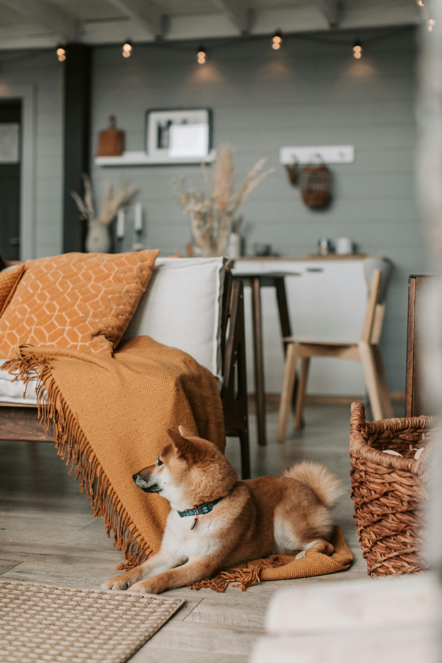 pexels-vlada-karpovich-6801935